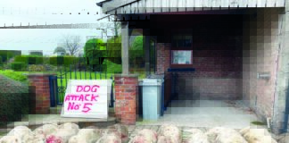 New law protecting farm animals over last hurdle