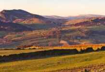 ‘Enhanced’ N Staffs the best, says SMDC