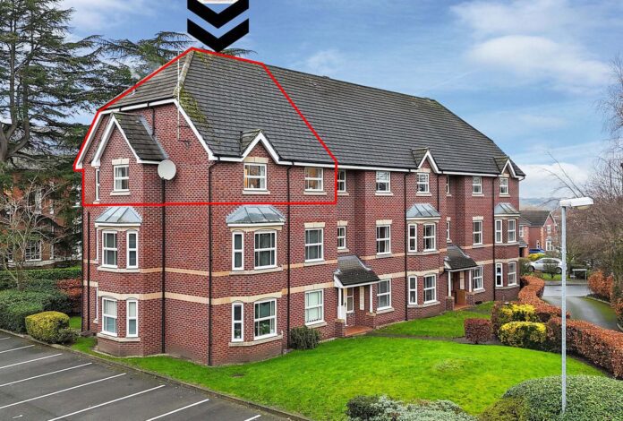 property of the weekA x3 cong p20