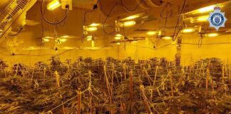 Weed farm man lied about captivity