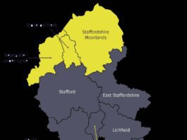 Public to get a say on council changes