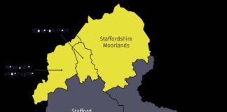 Public to get a say on council changes