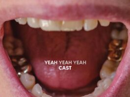 Cast: Yeah Yeah Yeah
