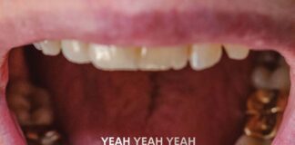 Cast: Yeah Yeah Yeah