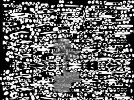 Patchwork Rattlebag: Fragments 1