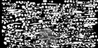 Patchwork Rattlebag: Fragments 1