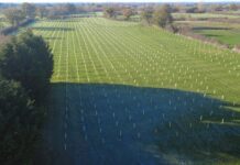 Council celebrates as it hits tree-planting target