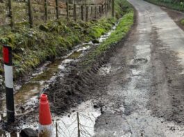 ‘Lives at risk’ on road after gulley collapse