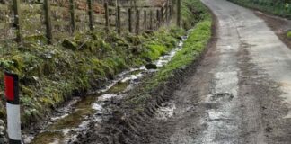‘Lives at risk’ on road after gulley collapse