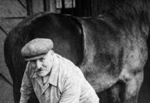 A village blacksmith