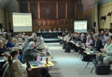 Mannion re-elected as Cabinet system returns