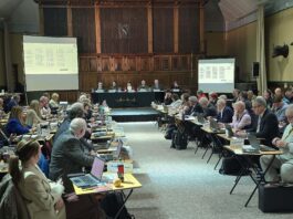 Mannion re-elected as Cabinet system returns