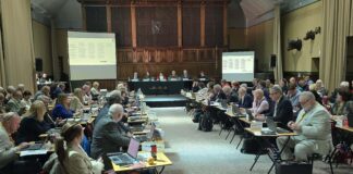 Mannion re-elected as Cabinet system returns