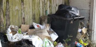 Call for tougher action to be taken on tippers