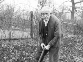 Memories of old Eatonian