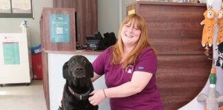 Vet saves dog who gobbled up nappy