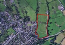 Fifty-five new homes are planned for village