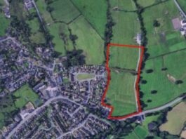 Fifty-five new homes are planned for village