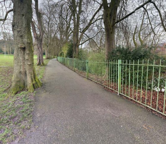 Park link project could prove to be a bridge too far