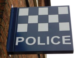 AI ‘not about replacing the police workforce’