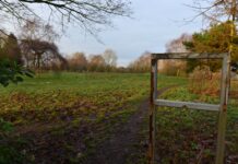 Newcastle-under-Lyme Borough Councillors voted to adopt new local plan
