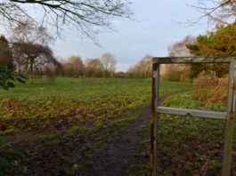 Newcastle-under-Lyme Borough Councillors voted to adopt new local plan