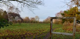 Newcastle-under-Lyme Borough Councillors voted to adopt new local plan