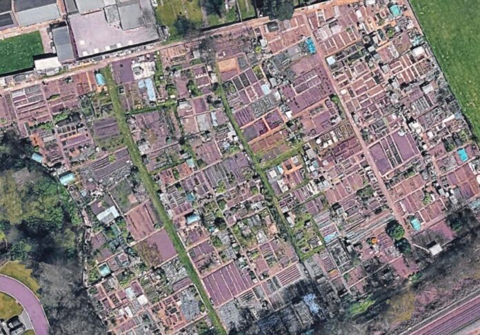 allotments row x2 alsager p01
