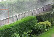 Betchton skip-hire company accused of impacting resident’s life with “dust, noise and rats”