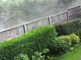 Betchton skip-hire company accused of impacting resident’s life with “dust, noise and rats”