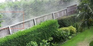 Betchton skip-hire company accused of impacting resident’s life with “dust, noise and rats”