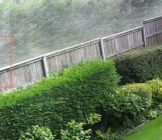 Betchton skip-hire company accused of impacting resident’s life with “dust, noise and rats”