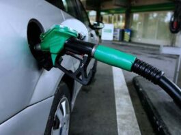 Coach firms ‘sucking up’ rising diesel costs