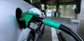 Coach firms ‘sucking up’ rising diesel costs