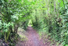 Bid to make Congleton’s Priesty Fields an asset of community value