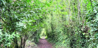 Bid to make Congleton’s Priesty Fields an asset of community value