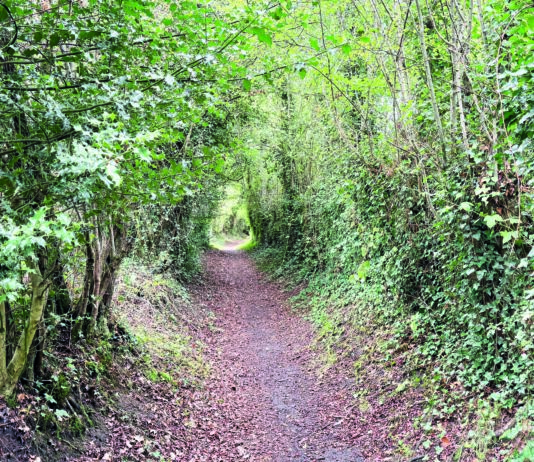 Bid to make Congleton’s Priesty Fields an asset of community value