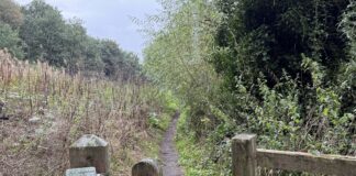 Priesty Field sold to a Congleton resident despite council efforts to purchase land