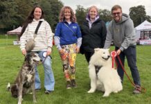 RSPCA dog show in Congleton Park was a barking success