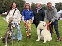 RSPCA dog show in Congleton Park was a barking success