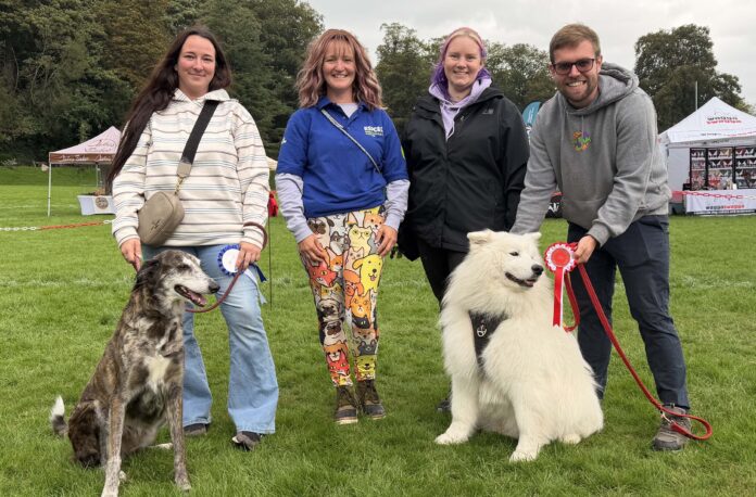 review news rspca dog show x2 cong